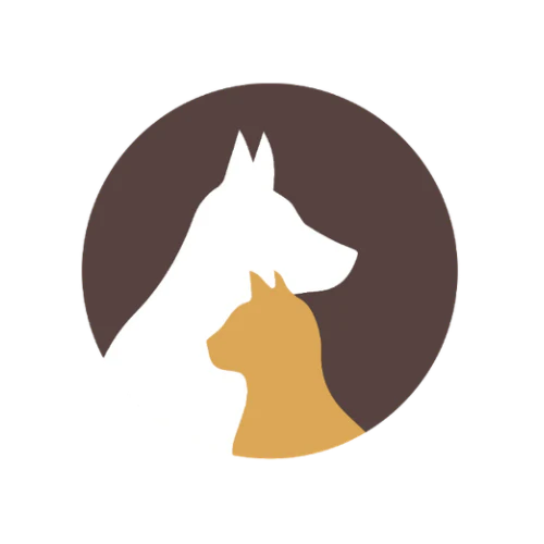 logo_about_ust.webp