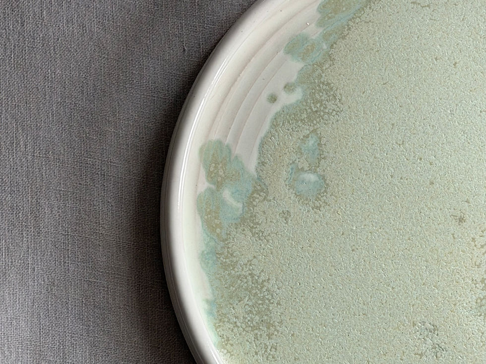Thumbnail: NEW Plate - Land Meets the Sea