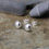 Thumbnail: Silver Pebble Studs
