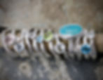 ROCK POOL COLLECTION_edited