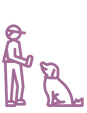 Filhotes de poodle
