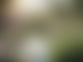 Find Peace and Wellness Through Hypnotherapy and Psychotherapy