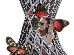 aboutme_testy.png