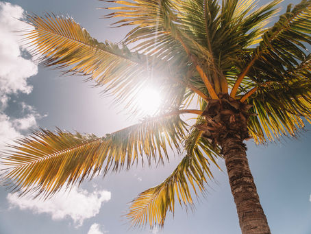 Natural Sun Protection