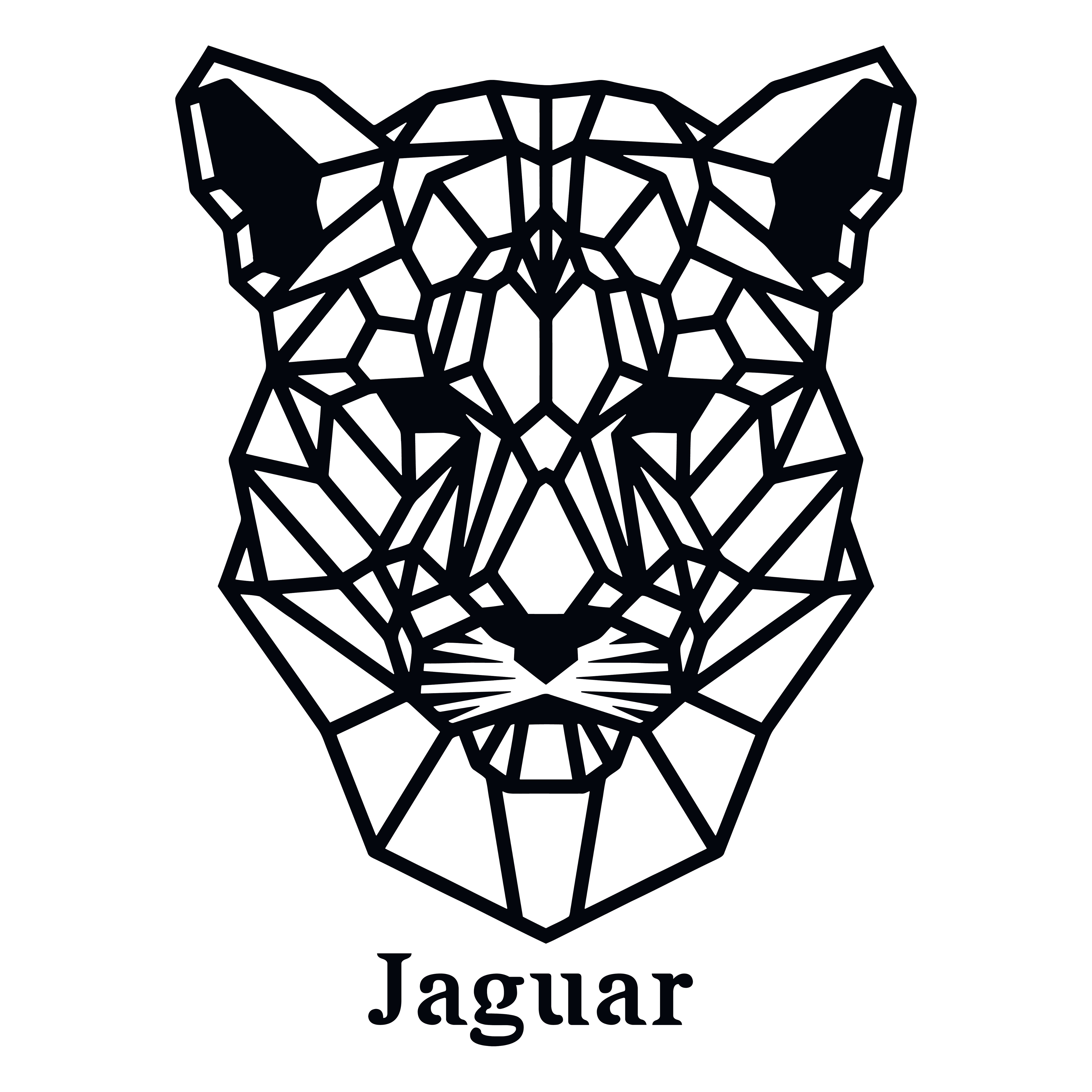 JAGUAR GEOMETRIQUE 30X30 cm