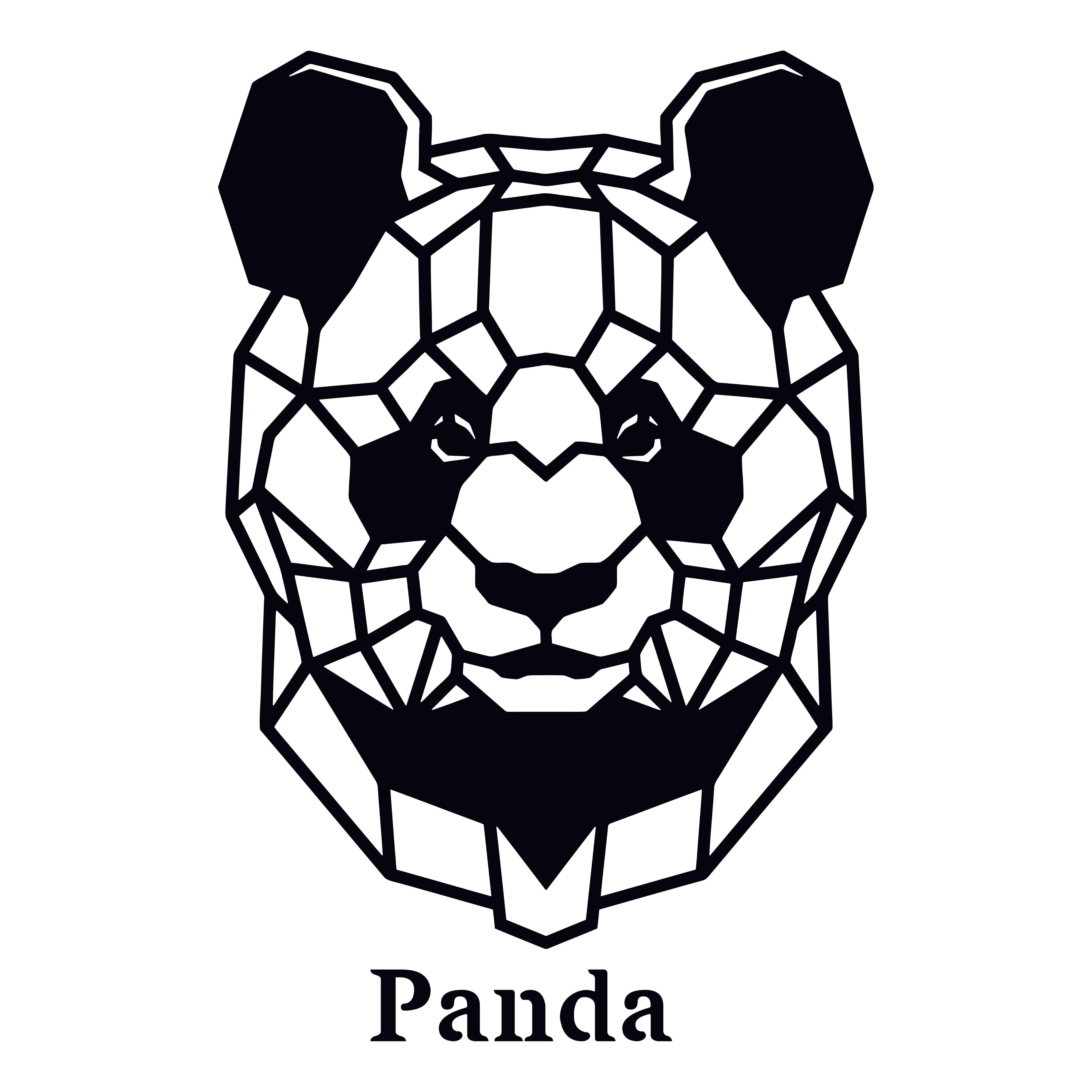 PANDA GEOMETRIQUE 50x50 cm