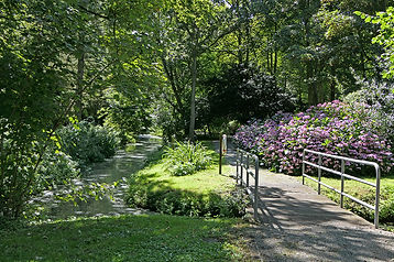 Caister_11.jpg