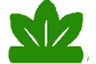 imageedit_4_5872964097 Cleaned-3.png