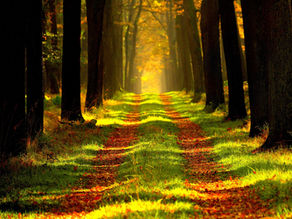 Zaměřte se letos na svou životní cestu