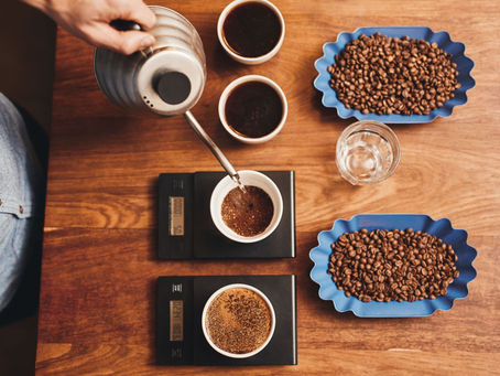 LA CATA DEL CAFÉ