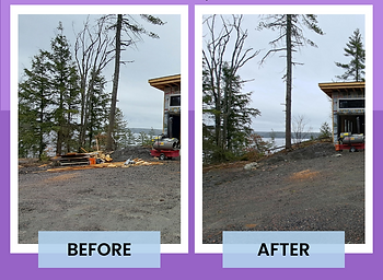 GBG Before and Afters (12).png