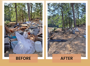 GBG Before and Afters (6).png