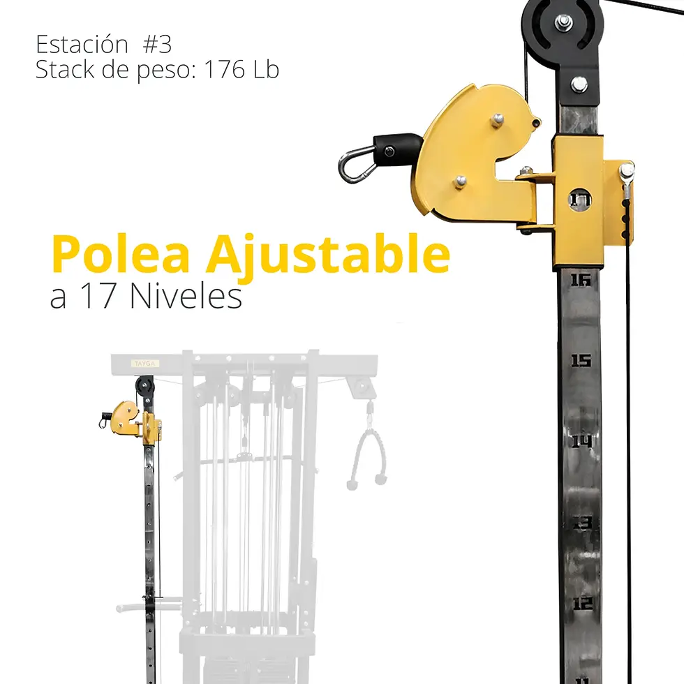 Miniatura: Jungla o multiestacion de 4-5-8  estaciones con peso integrado