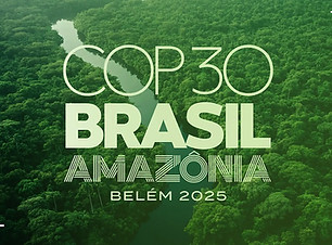 cop30-logo-amasonas.jpg