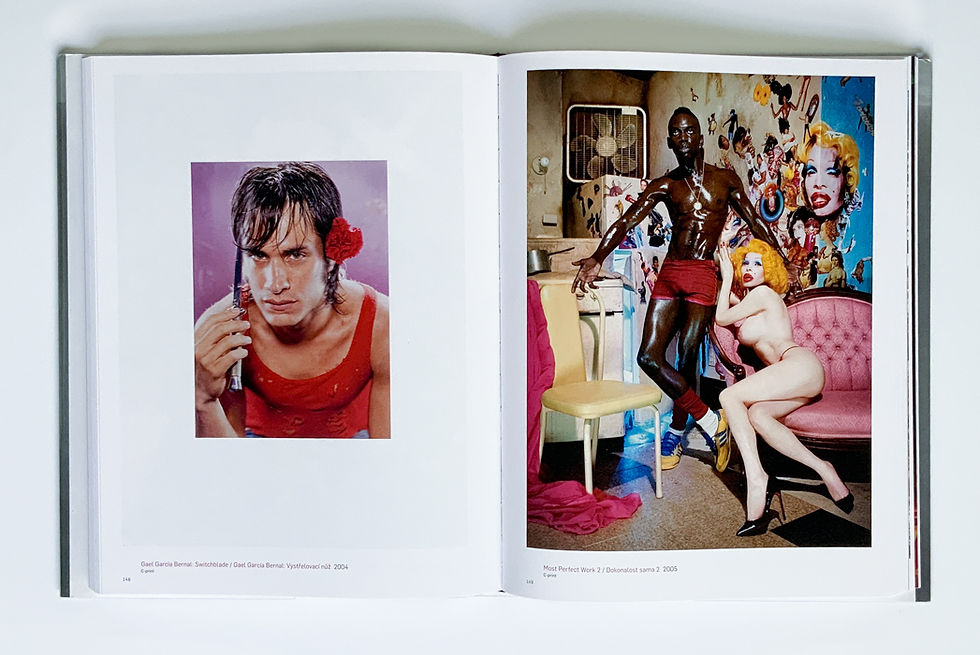 Thumbnail: Thus Spoke LaChapelle