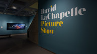 Picture Show
March 01 - July 20, 2025