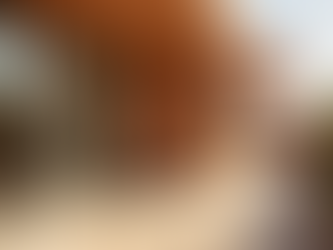 ทำไม ป.เจริญทรัพย์การช่าง จึงเป็นตัวเลือกที่ดีที่สุดในการสร้างบ้านของคุณ