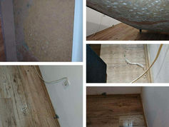 Minőségi csere: penészes lakásból menekültek, ugyanolyat kaptak Pikóéktól