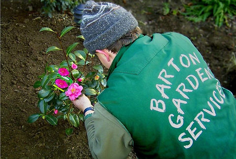 Patrick Barton Garden Services
