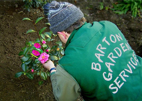 Patrick Barton Garden Services