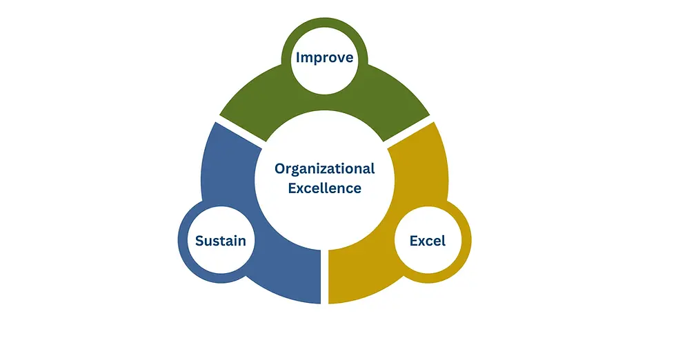 Circular diagram with three colored segments: green "Improve," blue "Sustain," yellow "Excel," surrounding "Organizational Excellence."