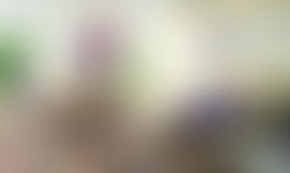 Cregg Medical 2023 Brochure