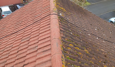 roof cleaning