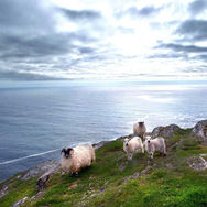 Kenmare.ie _ Kerry