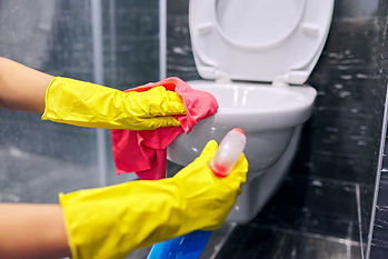 Bathroom Cleaning