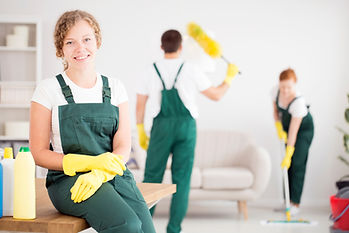 Living Room Cleaning