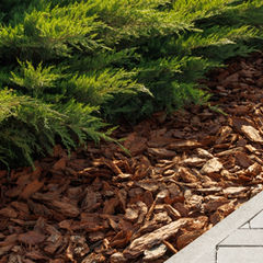 A patio centre patio