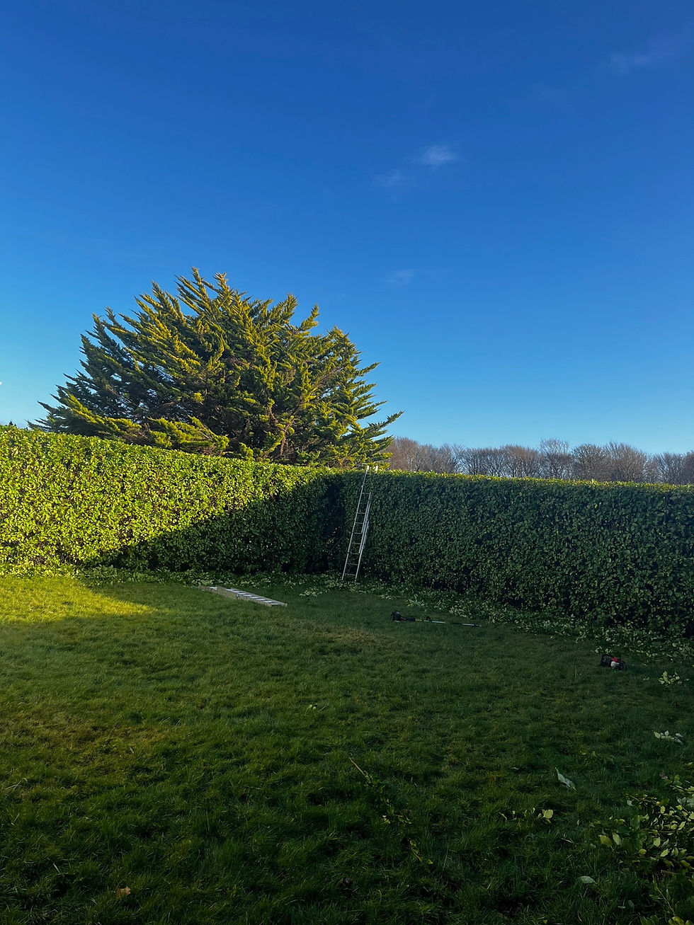 Connaughton & Sons Landscaping Ltd