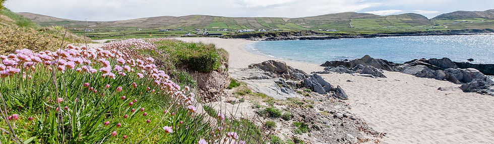 Allihies Holiday Homes