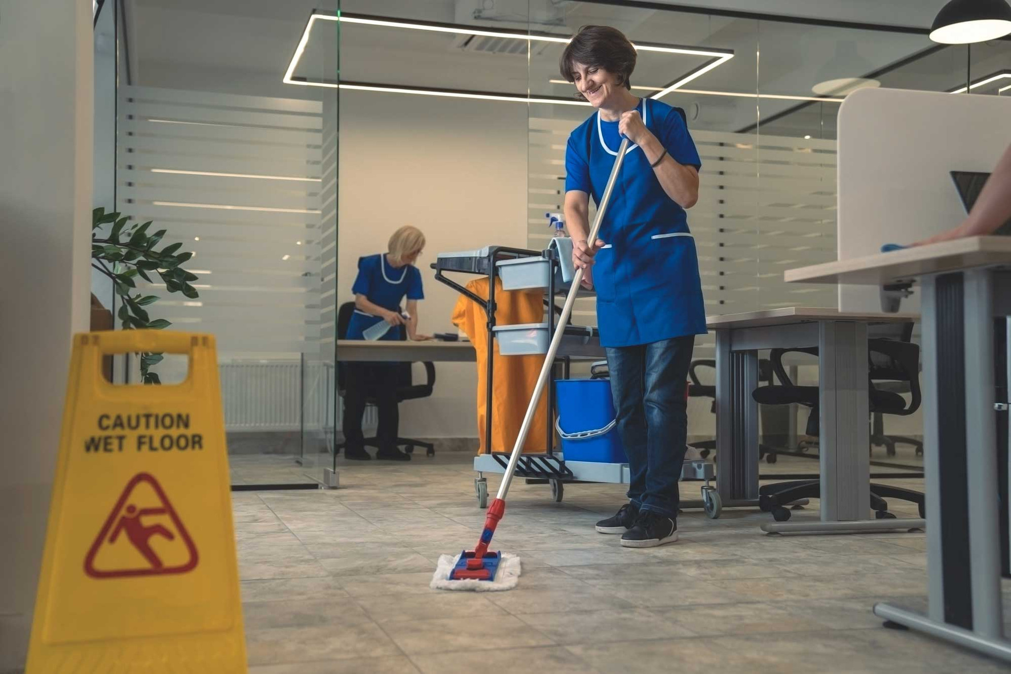 Property Maintenance Squirrels Band Carlow property-maintenance-squirrels-band-carlow