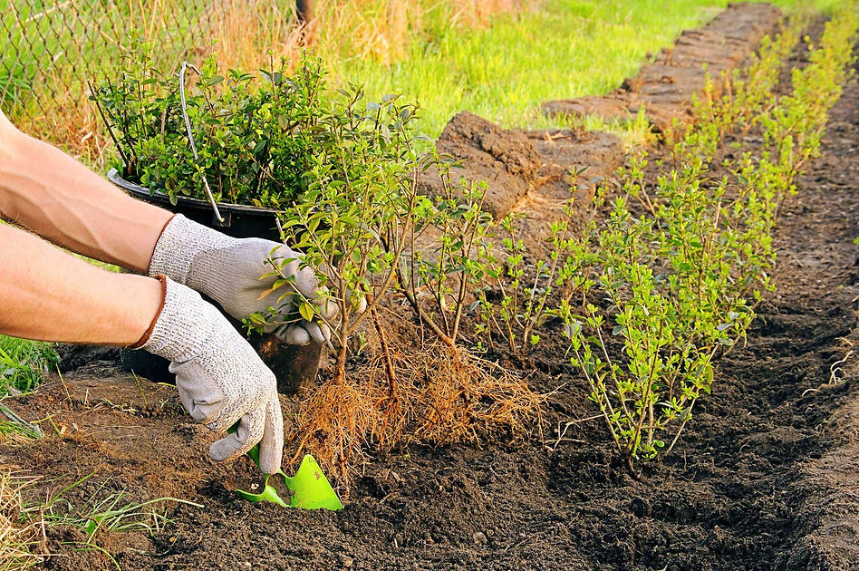 Seasonal Planting with Local Knowledge