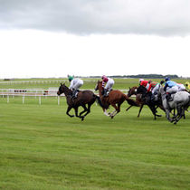 Horses racing on a green field. Sports are underway on a cloudy day.