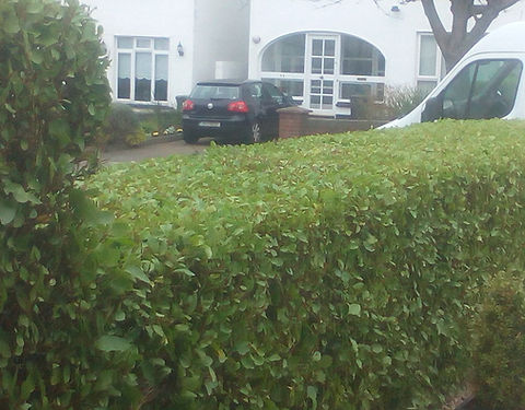 Patrick Barton Garden Services