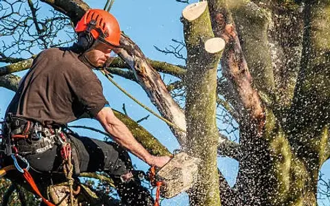 J.Ds Gardening & Tree Service