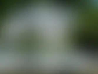 Choose Benefit of Queensland’s House Growth With a Clean Coat of Paint