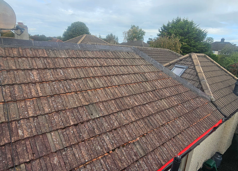 chimney instalation and repointing