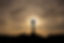 shutterstock_2260119955.jpg
