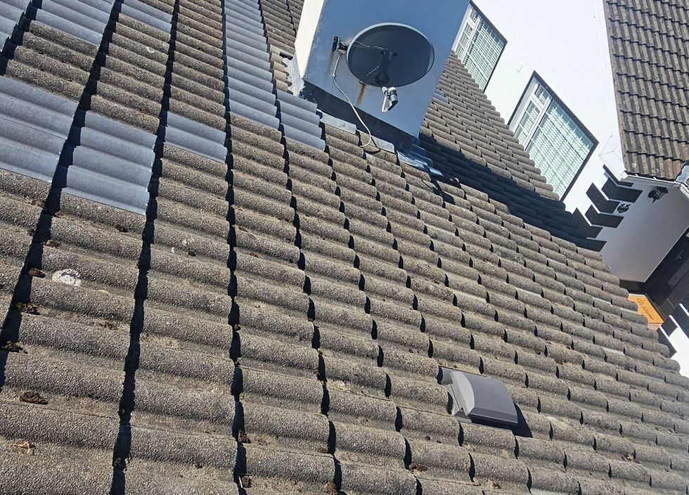 chimney instalation and repointing