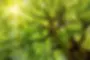 rs=w 1920,m.webp