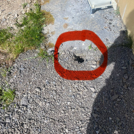 Just look 👀 where Rats and mice can gain entry to a property