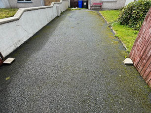 Long driveway needs cleaning