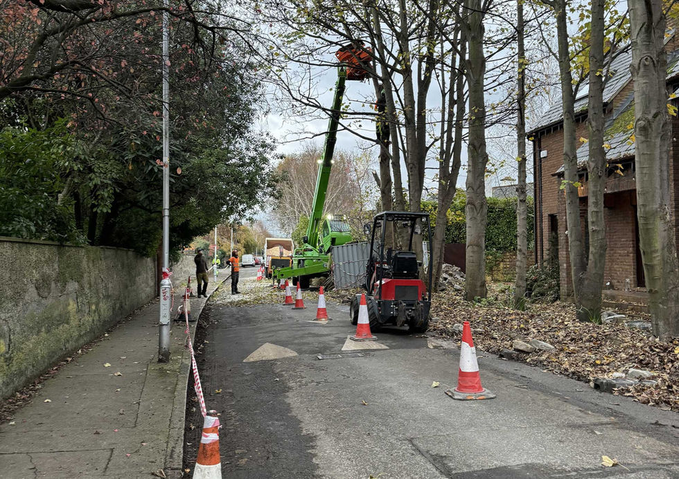 DC Tree Services