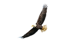 AEnB2UofHwoITnqn_P2Ksk4qGStsN9dUCFfCgaWh