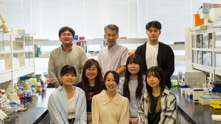 5年生の卒業研究 開始