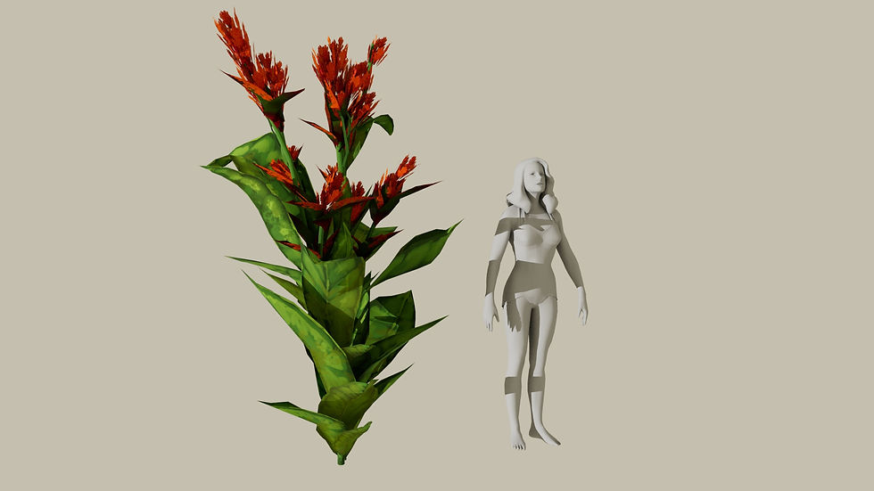 CANNA RENDER 2