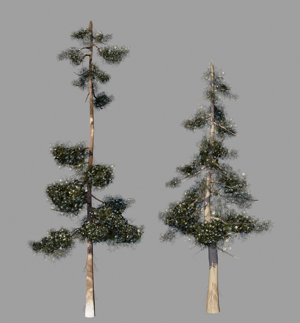 Pine Needle Screenshot